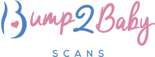 Bump 2 Baby