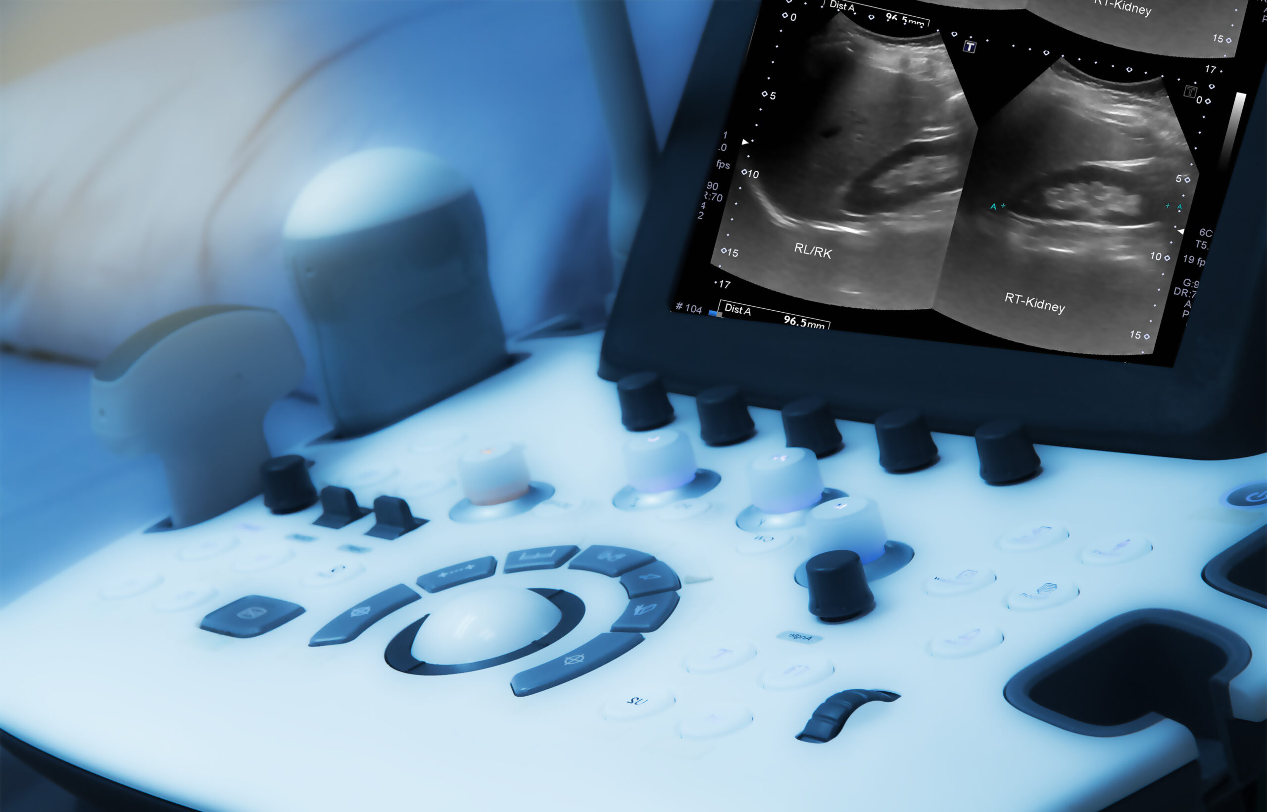 What to expect from elective ultrasound training programs