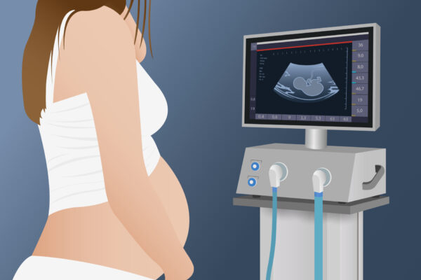 Advanced 4D ultrasound training for elective studios