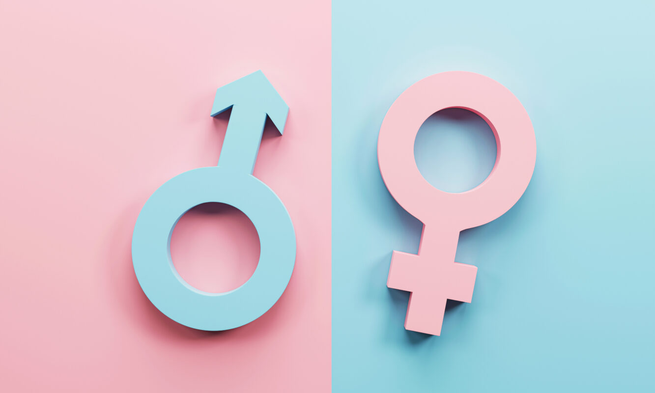 Discover how elective ultrasound studios accurately determine baby gender. Learn about private training, technology, and best practices for a thriving 3D/4D ultrasound business.